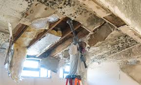 Best Environmental Consulting for Mold Prevention  in Lumberton, MS